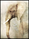 Elephant in grey tones poster - Plakatbar.no