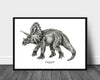 Håndtegnet dinosaur til barnerom - Triceratops 02 - Design av Hugøy - Plakatbar.no