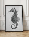 Seahorse