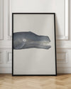 Whale I Tight Crop Handcolored Sealife Lithograph 1824