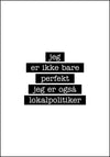 Lokalpolitiker - Jeg er ikke bare perfekt Plakat - Plakatbar.no
