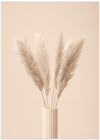 Pampas Grass Beige 11