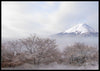 Mount Fuji in spring - poster - Plakatbar.no