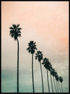 Palms at the sea - Poster - Plakatbar.no