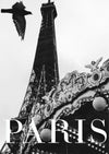 Paris Dove - poster - Plakatbar.no
