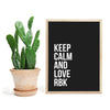 RBK - Keep Calm and Love RBK poster - Plakatbar.no