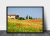 Sommerblomster i Toscana - Poster - Plakatbar.no