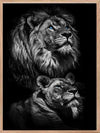 Two Lions - Blue Eyes Poster - Plakatbar.no