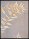 White dried flowers - Poster - Plakatbar.no