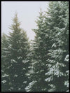 Winter Forest 02 - Poster - Plakatbar.no