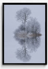 Winter stillness- poster - Plakatbar.no