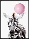 Zebra med ballong - søt plakat - Plakatbar.no