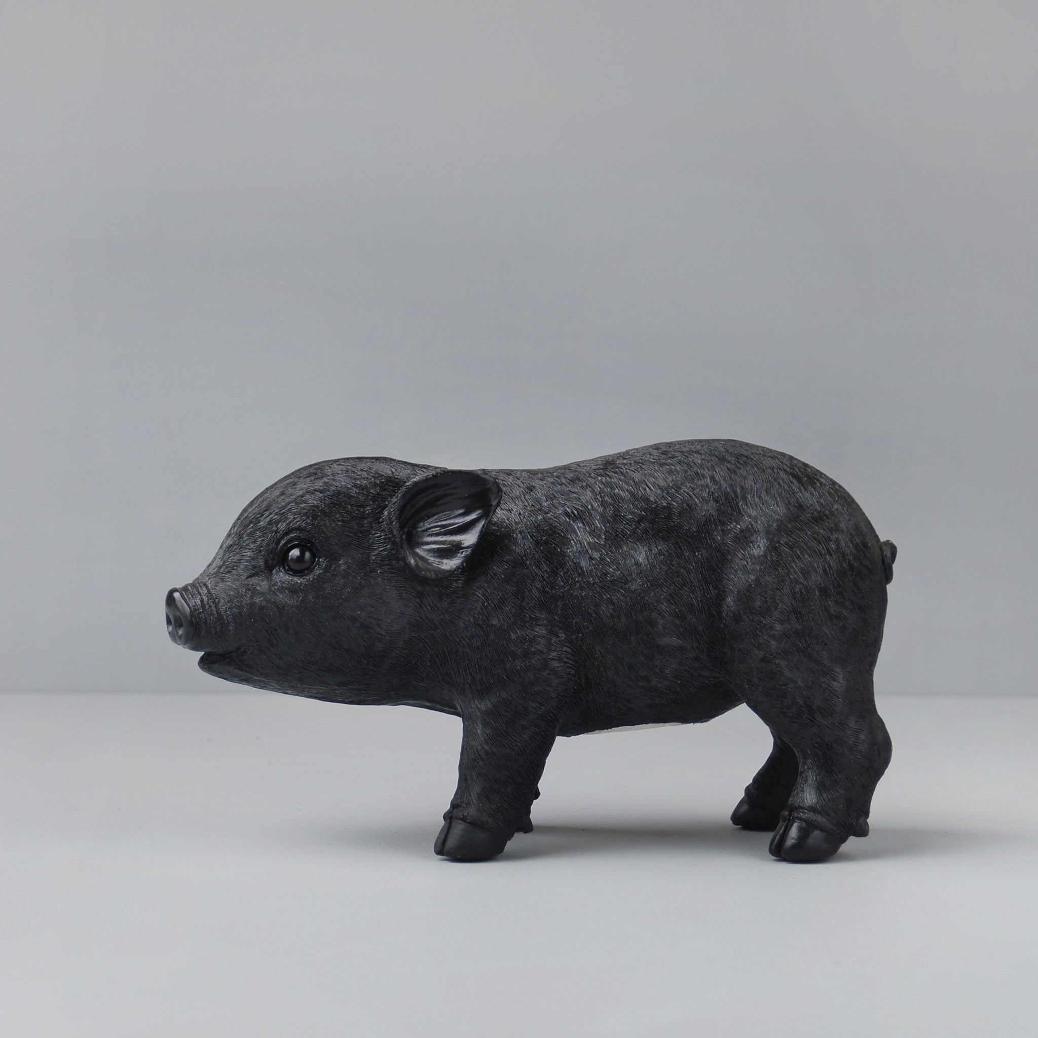 Pig Money Box Black