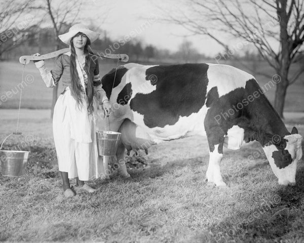 Dutch Girl Milking Cow Vintage 8x10 Reprint Of Old Photo Photoseeum