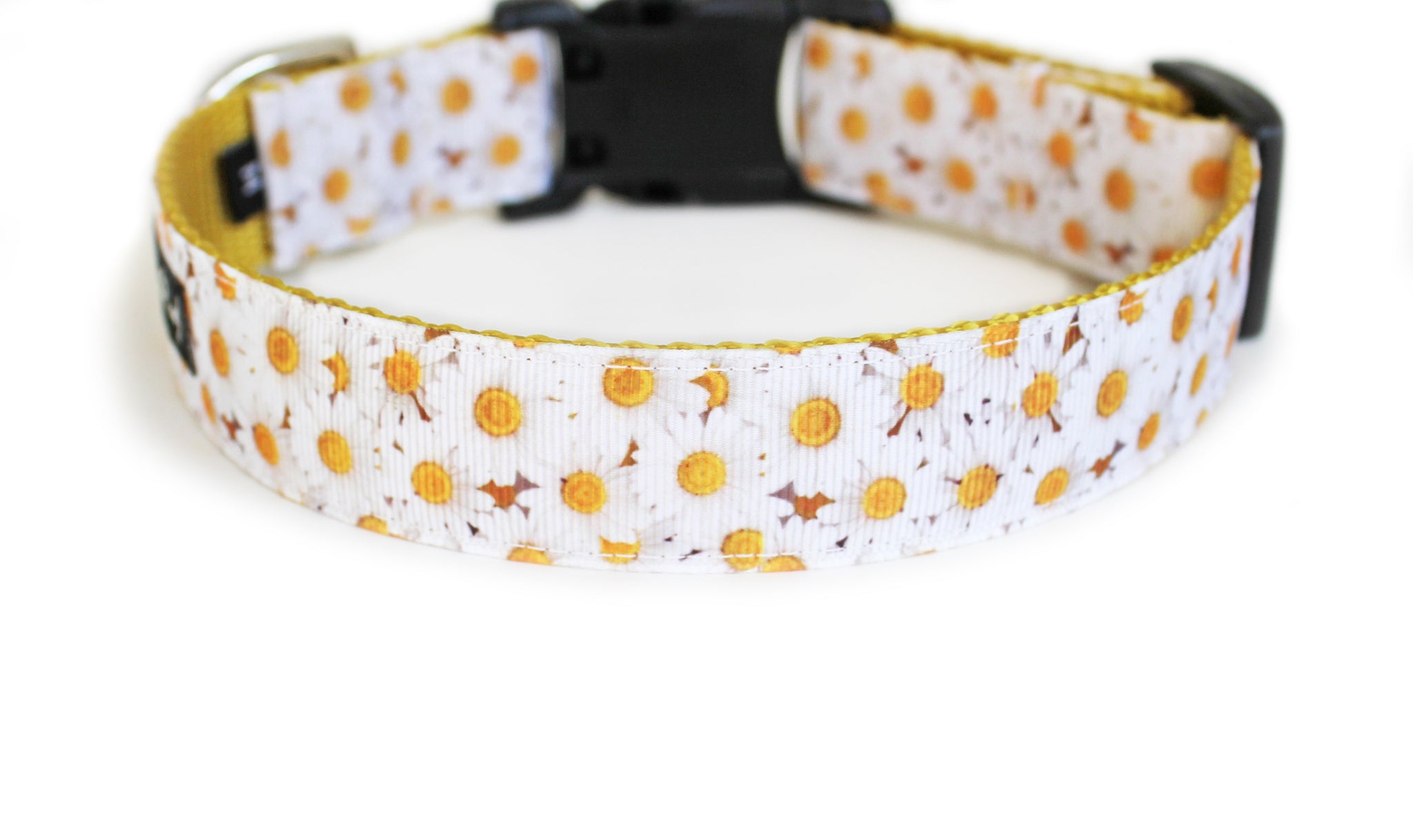 daisy puppy collar