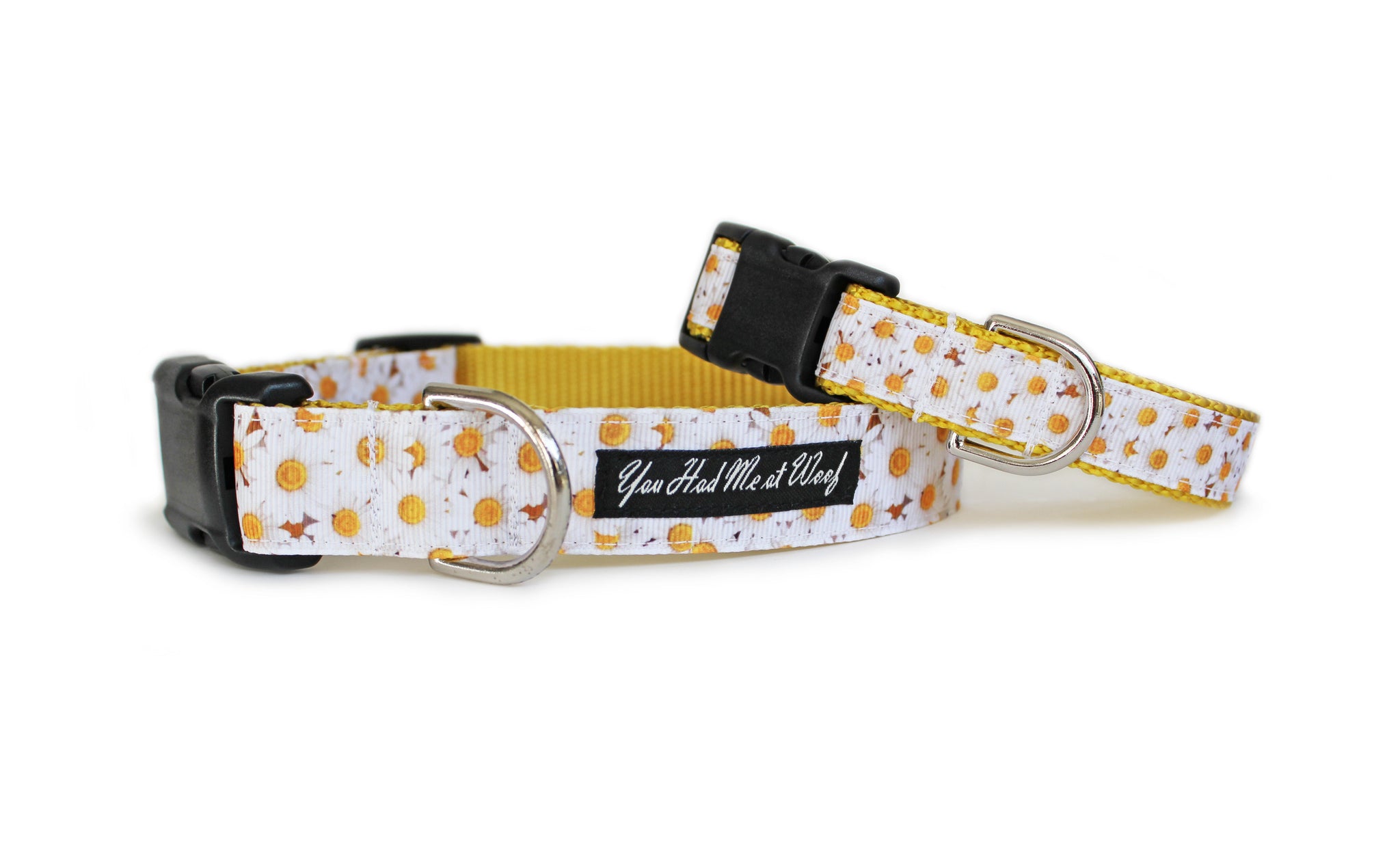 daisy flower dog collar