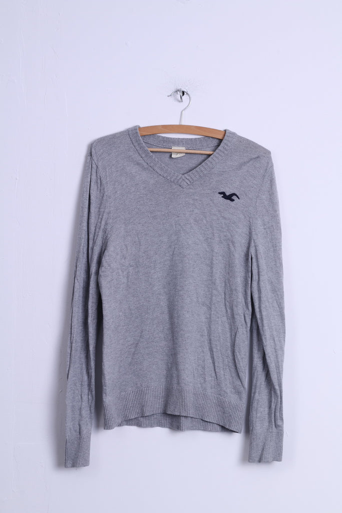 hollister mens jumpers