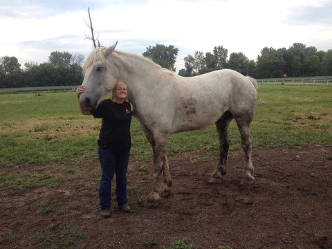 horse riding accident