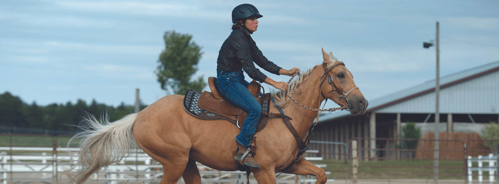 a person riding a horse