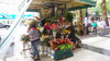 Flower shops