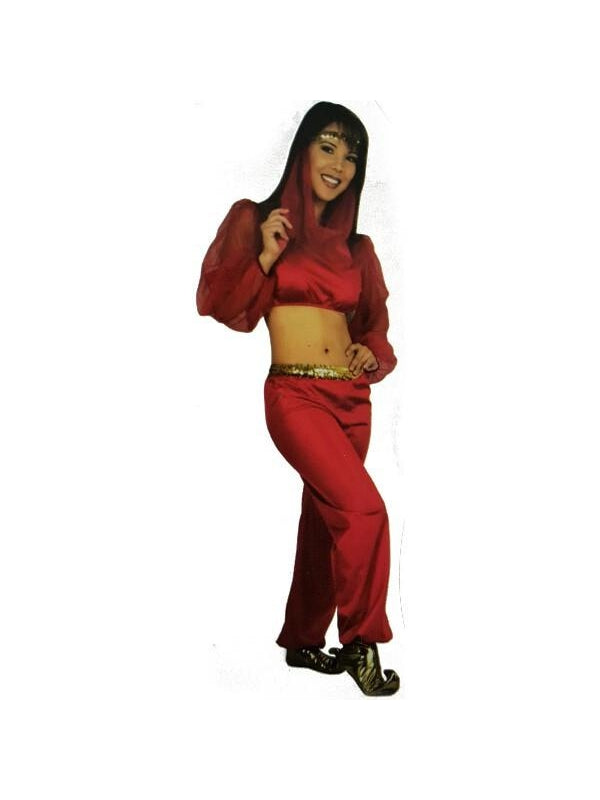 Adult Fashion Harem Girl Costume