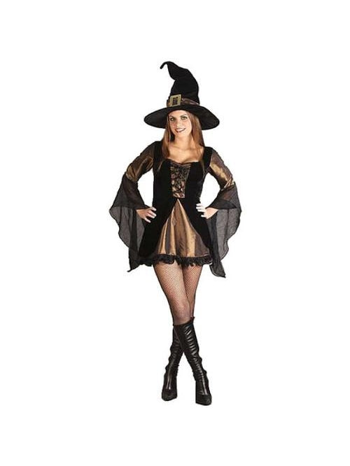 Sexy Wicked Witch Porn - Adult Sexy Wicked Witch of The West Costume