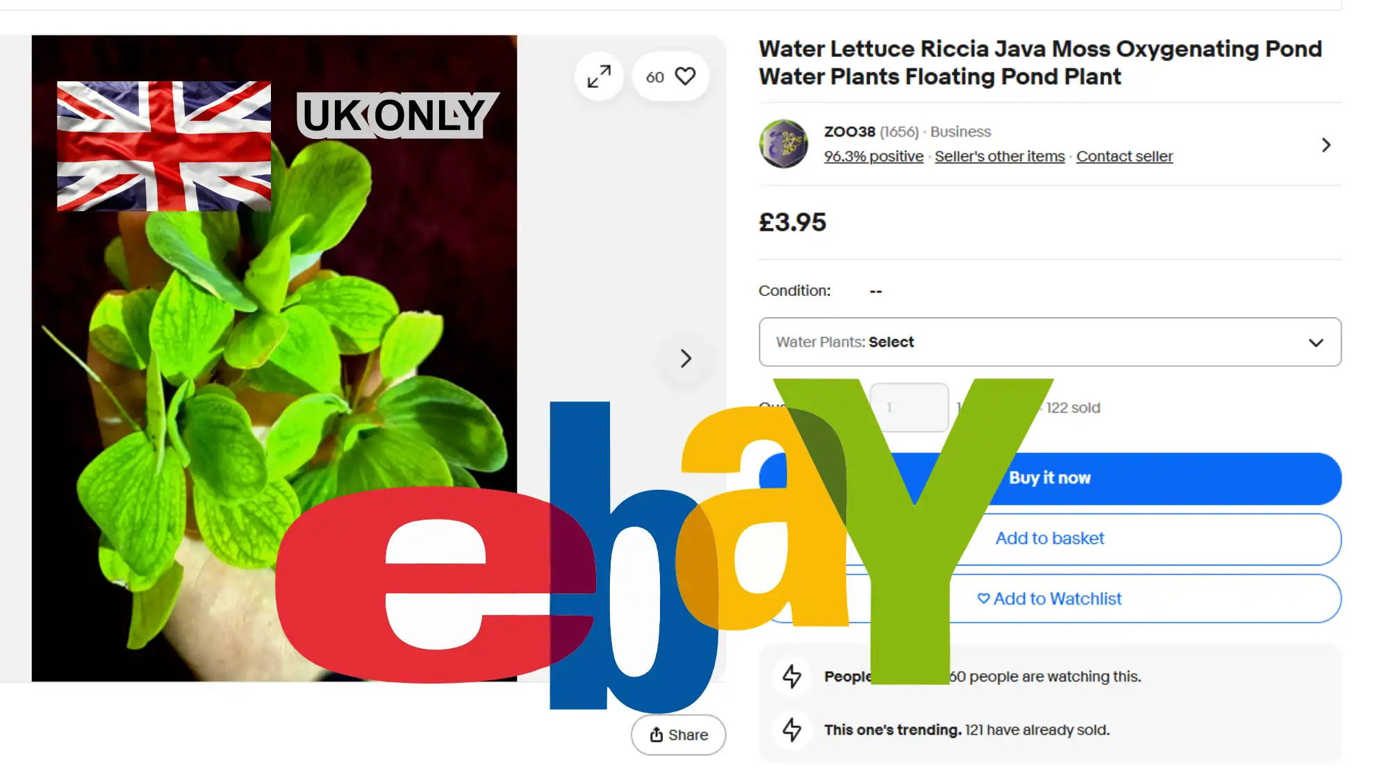 Buy on eBay