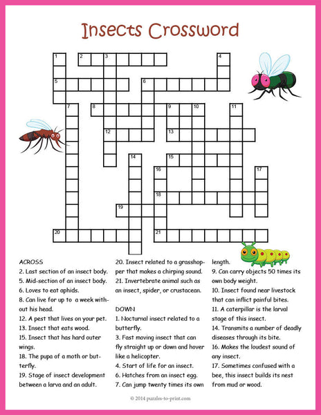 Insect Puzzle Bundle - PRINTABLE PDF – Puzzles to Print