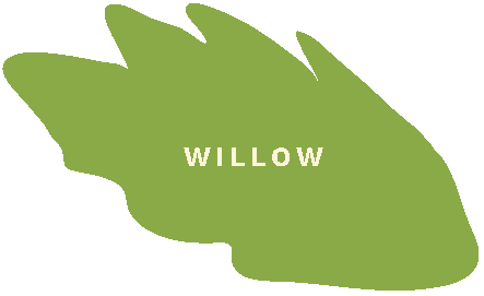 Wool illustration