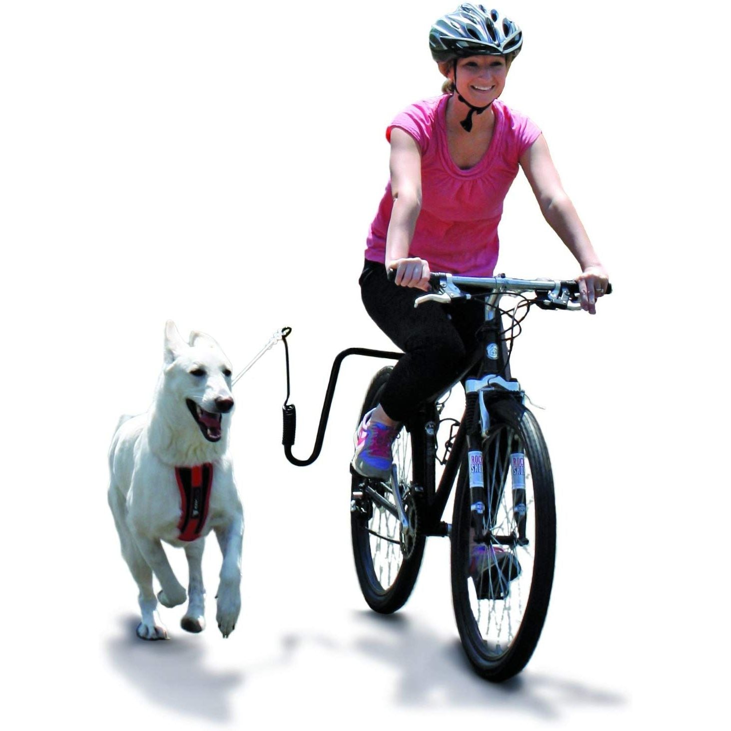 bike exercise attachment