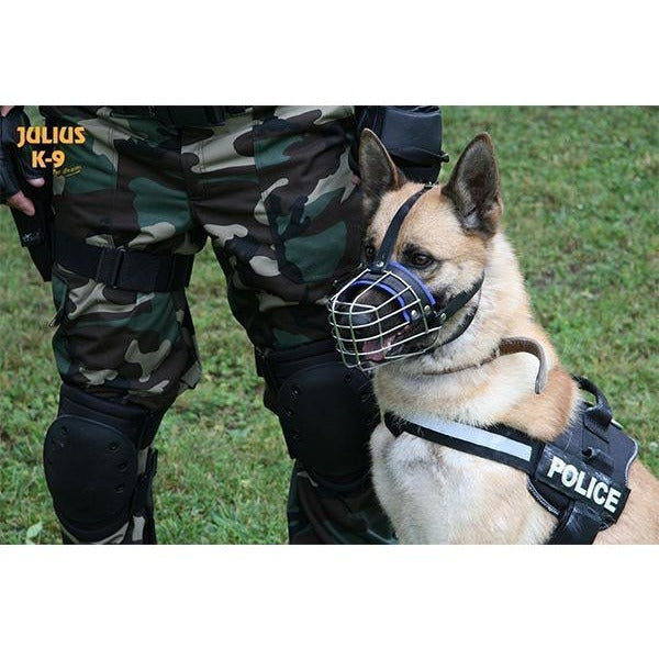 credit stuiten op advocaat JULIUS K9 Wire Muzzle – CANIS CALLIDUS Quality Dog Supplies from Europe