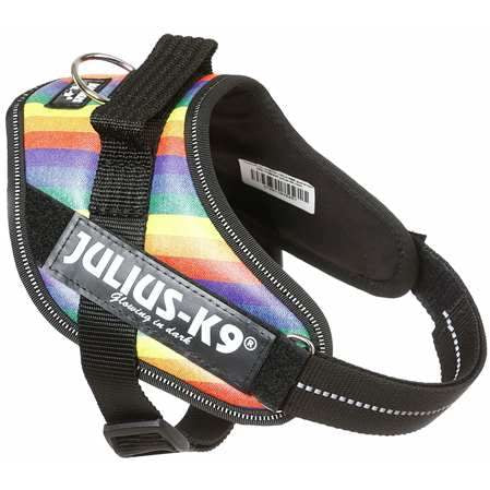 julius k9 power harness mini