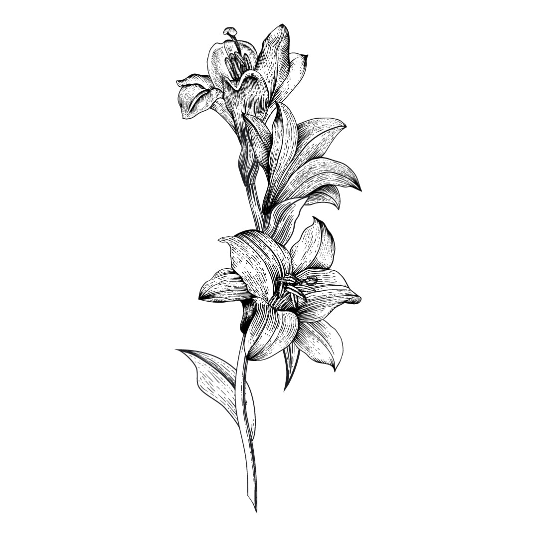 Peony Reed Diffuser | Archipelago Botanicals