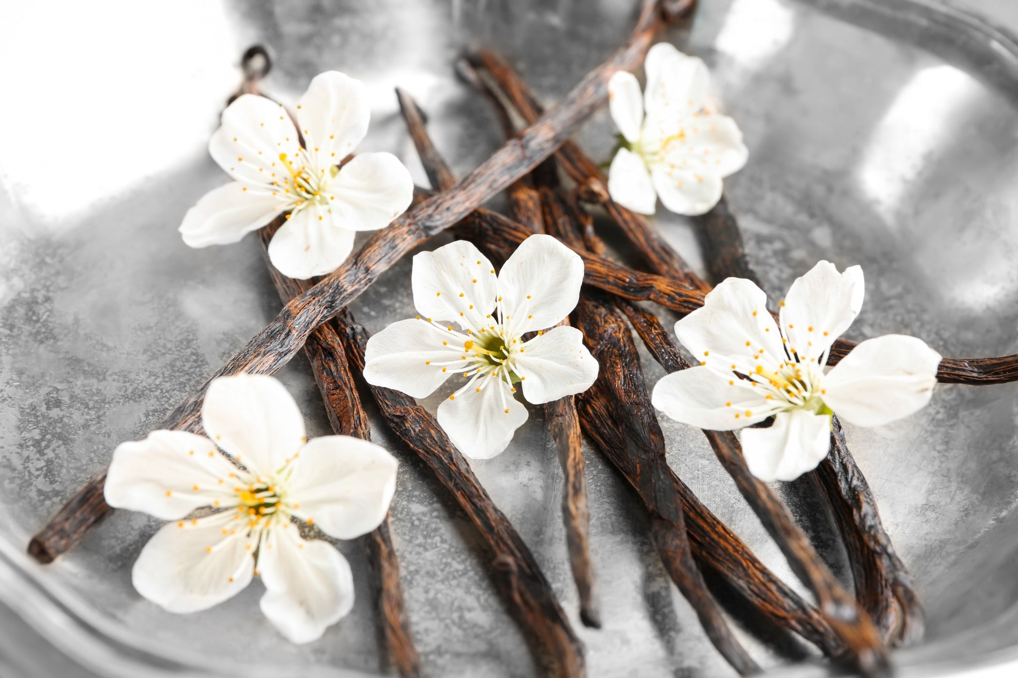 Cherry  Discover The Sweet and Fruity Aroma of Cherry Essential Oil! - The  Refill Shoppe