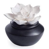 Airome Porcelain Essential Oil Diffusers