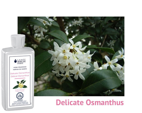 Lampe Berger Delicate Osmanthus