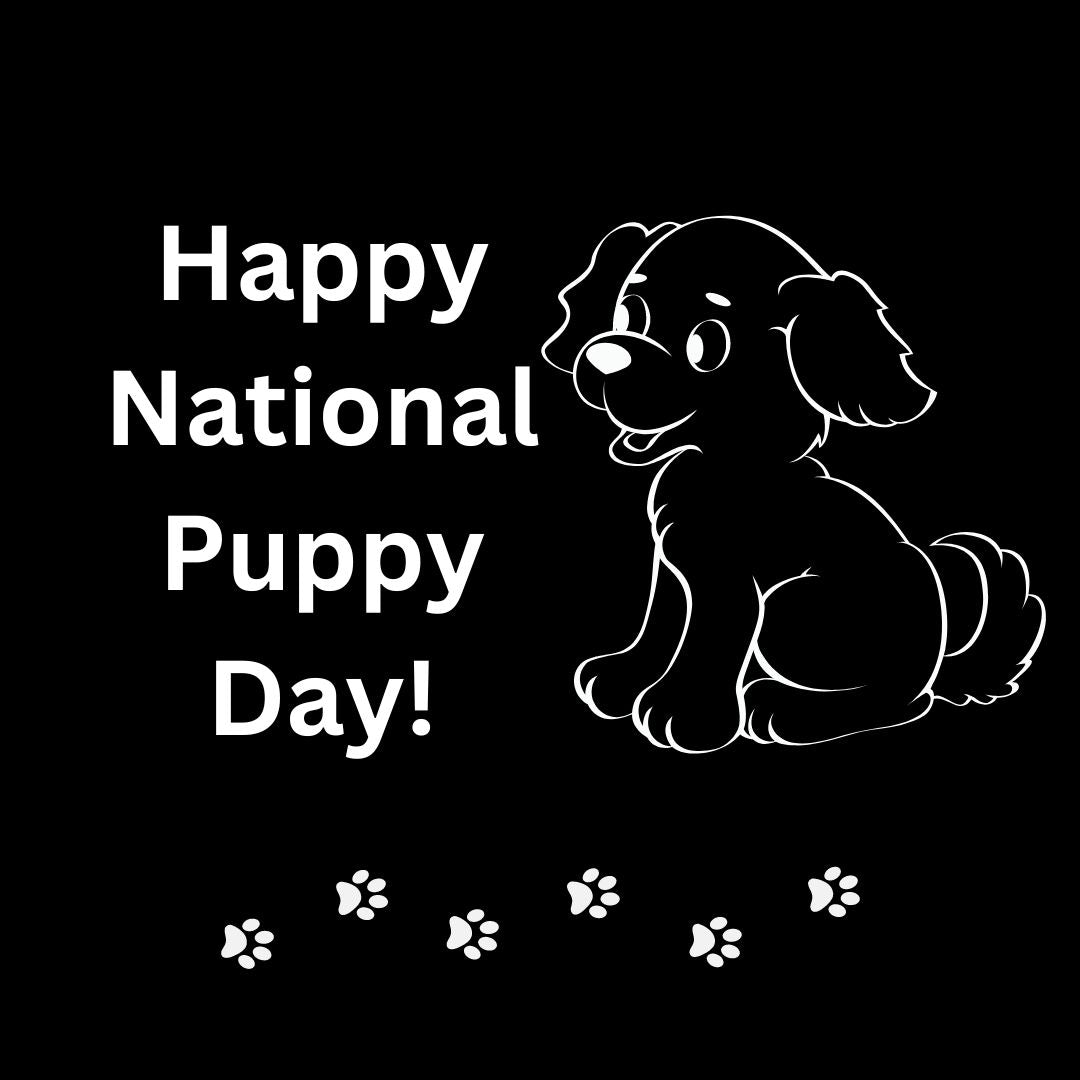 Celebrating National Puppy Day Quan Jewelry