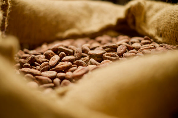 Inspecter le cacao à son arrivée au Canada