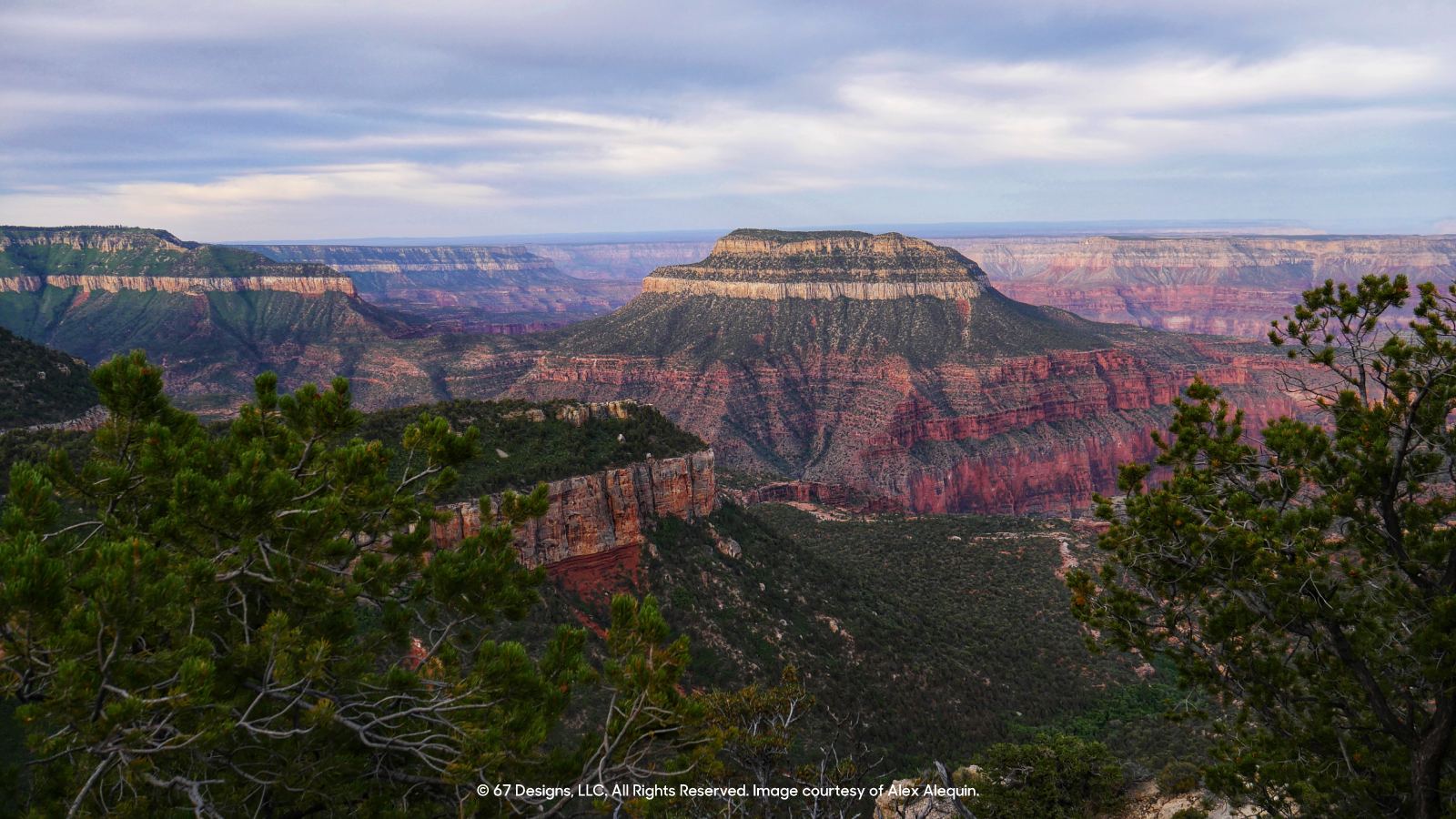 Scenic shot of canyons