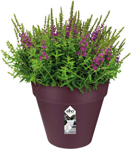 Elho Loft Urban Round 25 - Pot de fleurs d'extérieur - Ø 24,5 x H 22,0 cm - Mulberry Purple - 0ae6888311dbaaed026900d29cd473d714ebb7f8_Enriched_product_image
