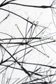 Luca Lighting Arbre à lumière extérieur - H180 x Ø80 cm - Métal - Noir - 3dc36e5d9f3e4d570555c8a6413fda020daa1140_Enriched_product_image