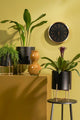 Mica Decorations Pot de fleurs Bélier sur pied - Lot de 3 - H32 x Ø24 cm - Noir - 48aad099737be38269d7acb80581311a3dee9c64_Enriched_product_image