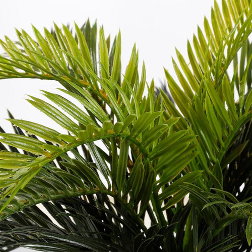 Mica Decorations Palmier Cycas Plante Artificielle en Pot de Fleur Stan - H37 x Ø44 cm - Vert - 4dd1956c2935d702d63690de81bd79f9c90e7fc7_Enriched_product_image_9fabaeb9-961b-4cb7-9947-9738336a4cd5