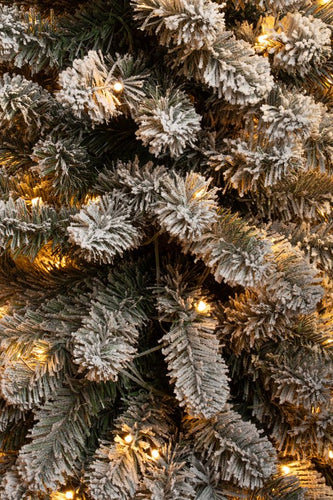 Black Box Trees Charlton Narrow Artificial Christmas Tree with Warm White LED Lights - H185 x Ø53 cm - Green Frosted - 4e24da702619e6e05352568f5d494c5ca233cb3c_Enriched_product_image_b7e80ac1-a579-41cc-b0e4-1e71cd5aa42f