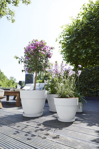 Elho Vibia Campana Round 25 - Pot de fleurs d'extérieur avec trous de drainage - 100% plastique recyclé - Ø 24,5 x H 21,0 cm - Blanc - 77b5f3bf64b02f774e3c341bebb9a46ec3261c05_Enriched_product_image