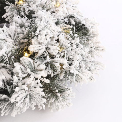Black Box Trees Dinsmore Couronne de Noël avec lumières LED - Ø60 cm - Vert givré - 8a4ceb13d65d1837d515b3bf696fac493a15fc83_Enriched_product_image_4f8538a5-4d62-4aba-8a18-a6b02f83deff