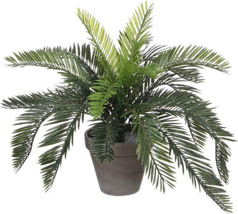Mica Decorations Palmier Cycas Plante Artificielle en Pot de Fleur Stan - H37 x Ø44 cm - Vert - 92a72c4fa7585107fd3dc14ec8596f259b7810bc_Enriched_product_image_16ff3e75-7d45-4107-8518-36eabe0ebb32