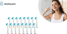 Wellhealth - Jeu de 16 ou 32 têtes de brossage universelles pour votre brosse à dents électrique - Convient à Oral B/Braun - 32 têtes de brossage - 96edd8799f7332a2cb04181baecba389537cc5bb_Enriched_product_image_dd75a328-1919-477f-9714-74de7b8aebee