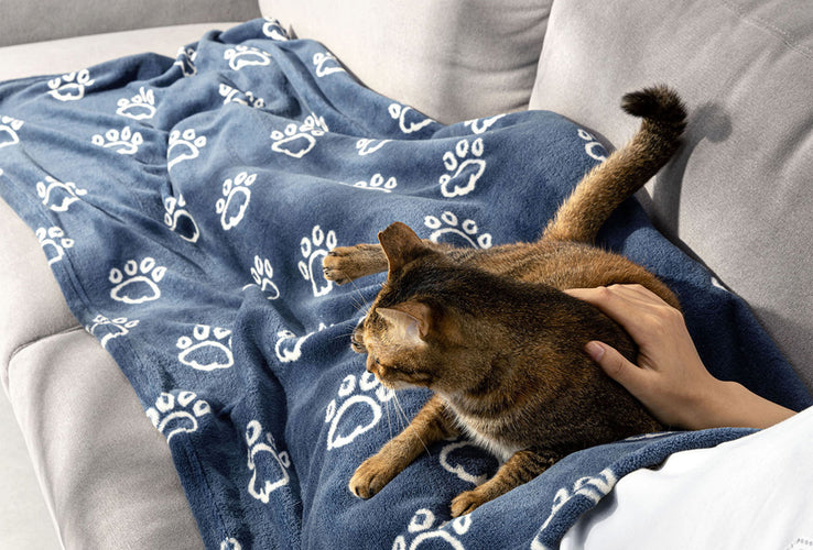 home & comfort Plaid délicieusement doux pour animaux de compagnie - Bleu - 125x150 cm - ba39e82b064d465d07f4fab846e4a09b06875f96_66f189db6a2799_1_a1d33755-c345-4e62-9152-2b4a963b8026