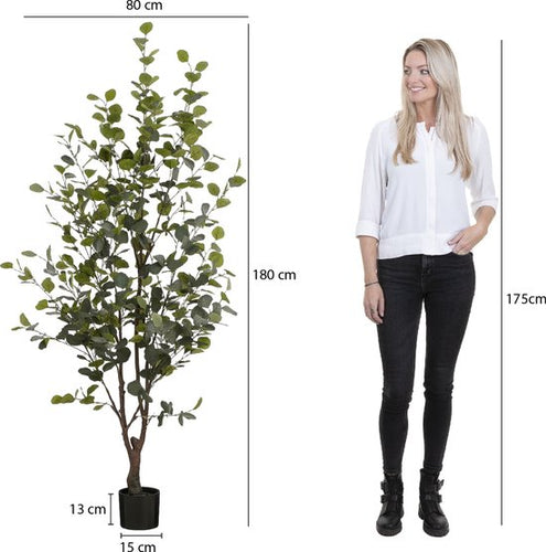 Mica Decorations Plante Artificielle Eucalyptus en Pot - H180 x Ø80 cm - Vert - e40b7924f0cff21b5c651e72477bcc8d6e200724_Enriched_product_image